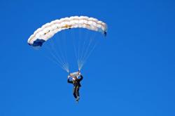 字母哥新星比赛规则变更表现突出，拜仁前途光明！热度持续攀升